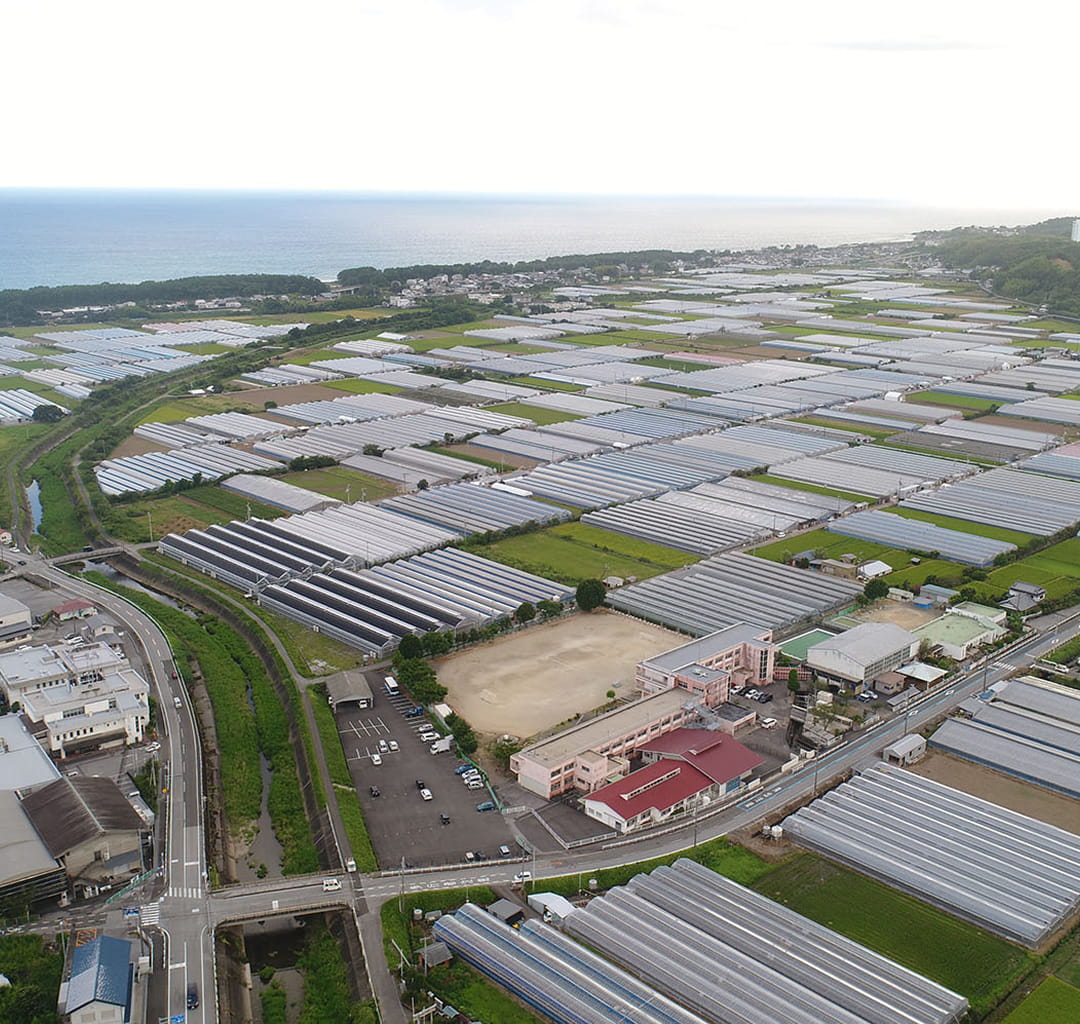 自然豊かな高知県芸西村生まれ