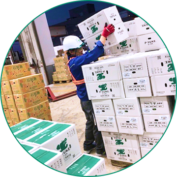 羽田空港着 荷下ろし