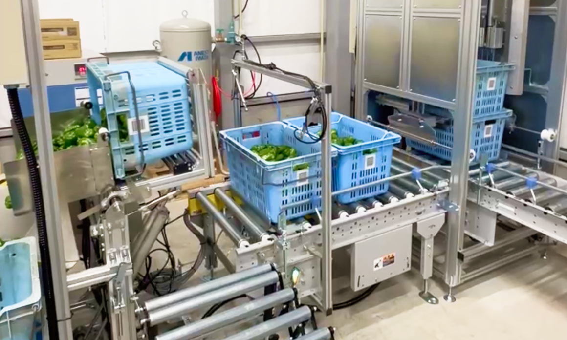 選果場の内観02