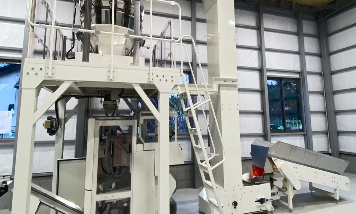 選果場の内観01